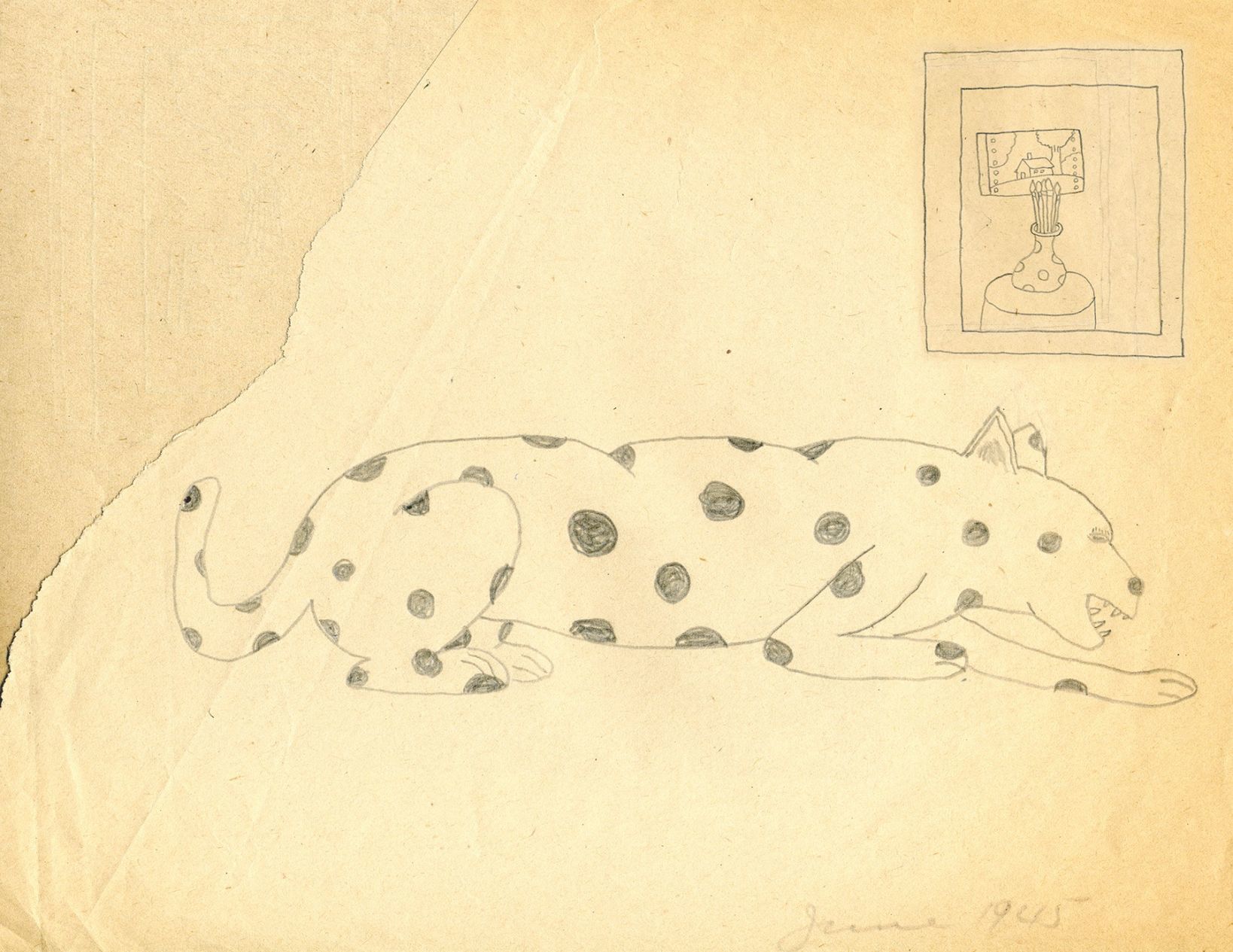 Leopard in Living Room